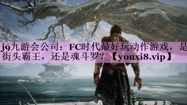 j9九游会公司：FC时代最好玩动作游戏，是街头霸王，还是魂斗罗？