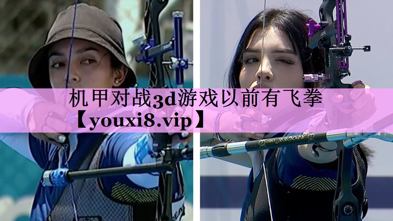 机甲对战3d游戏以前有飞拳