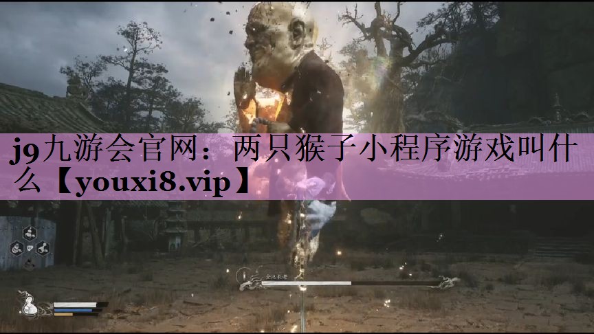 两只猴子小程序游戏叫什么 两只猴子小程序游戏叫什么