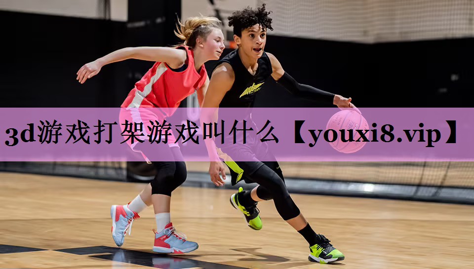 3d游戏打架游戏叫什么 3d游戏打架游戏叫什么